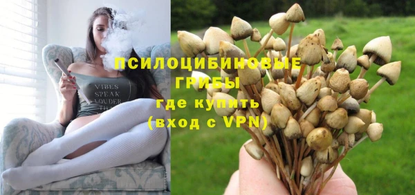 mix Гусь-Хрустальный