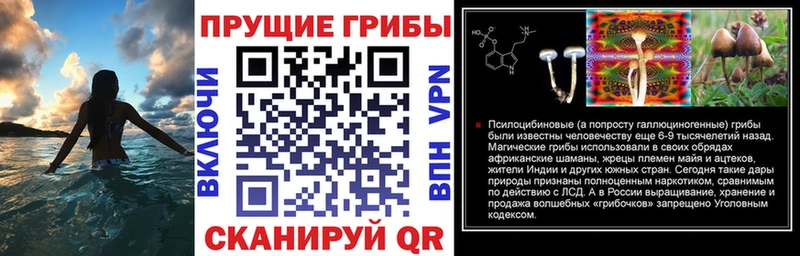 Псилоцибиновые грибы мицелий  цена   нарко площадка наркотические препараты  Джанкой 